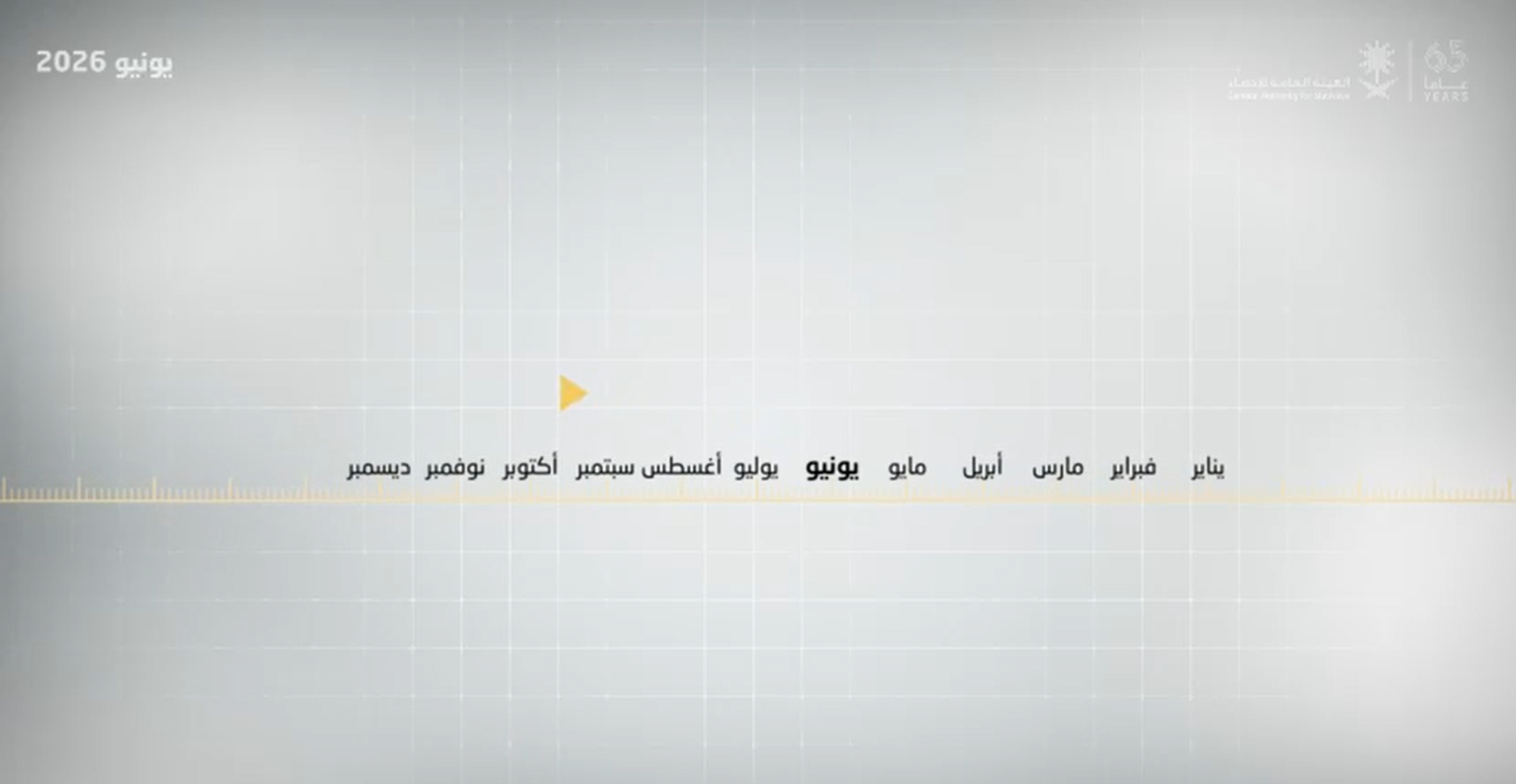 الهيئة العامة للإحصاء في يونيو 2026م