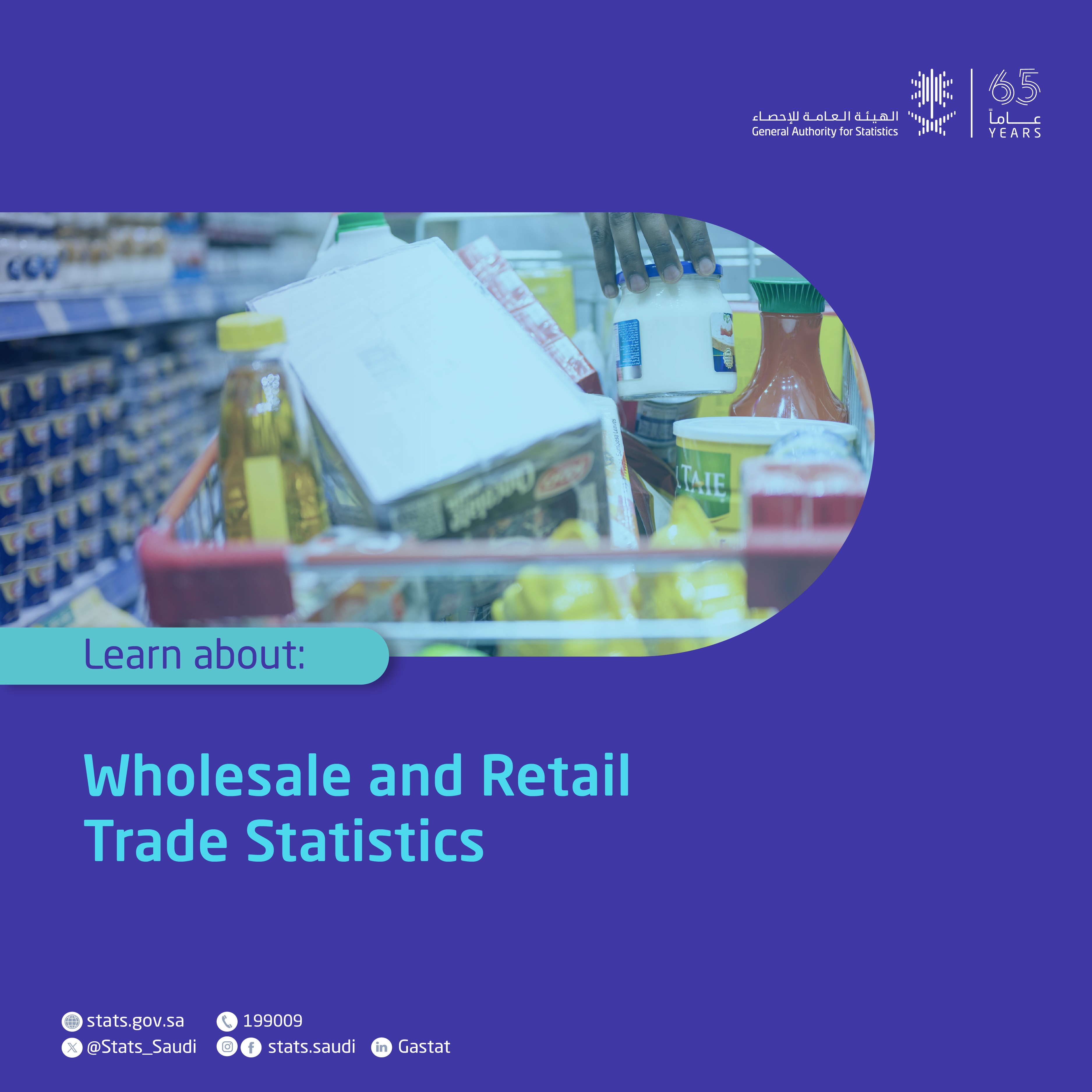 Wholesale and Retail Trade Statistics