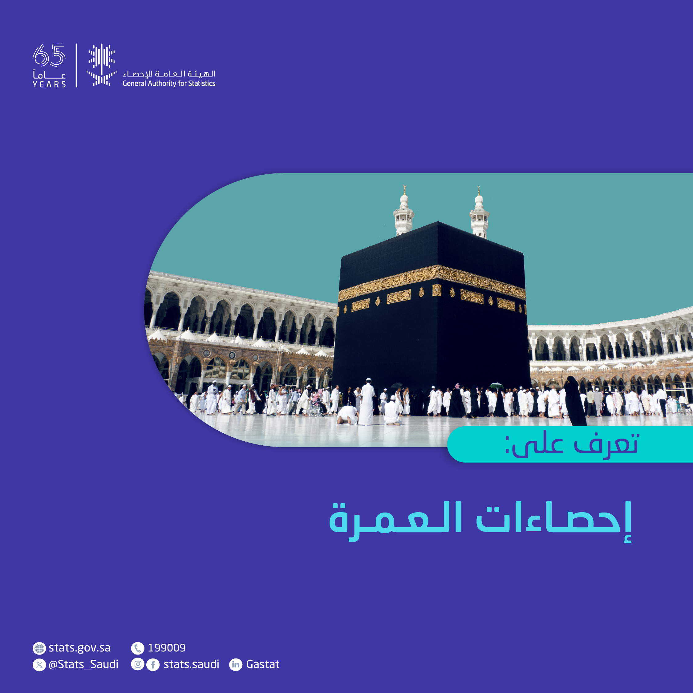 احصاءات العمرة 