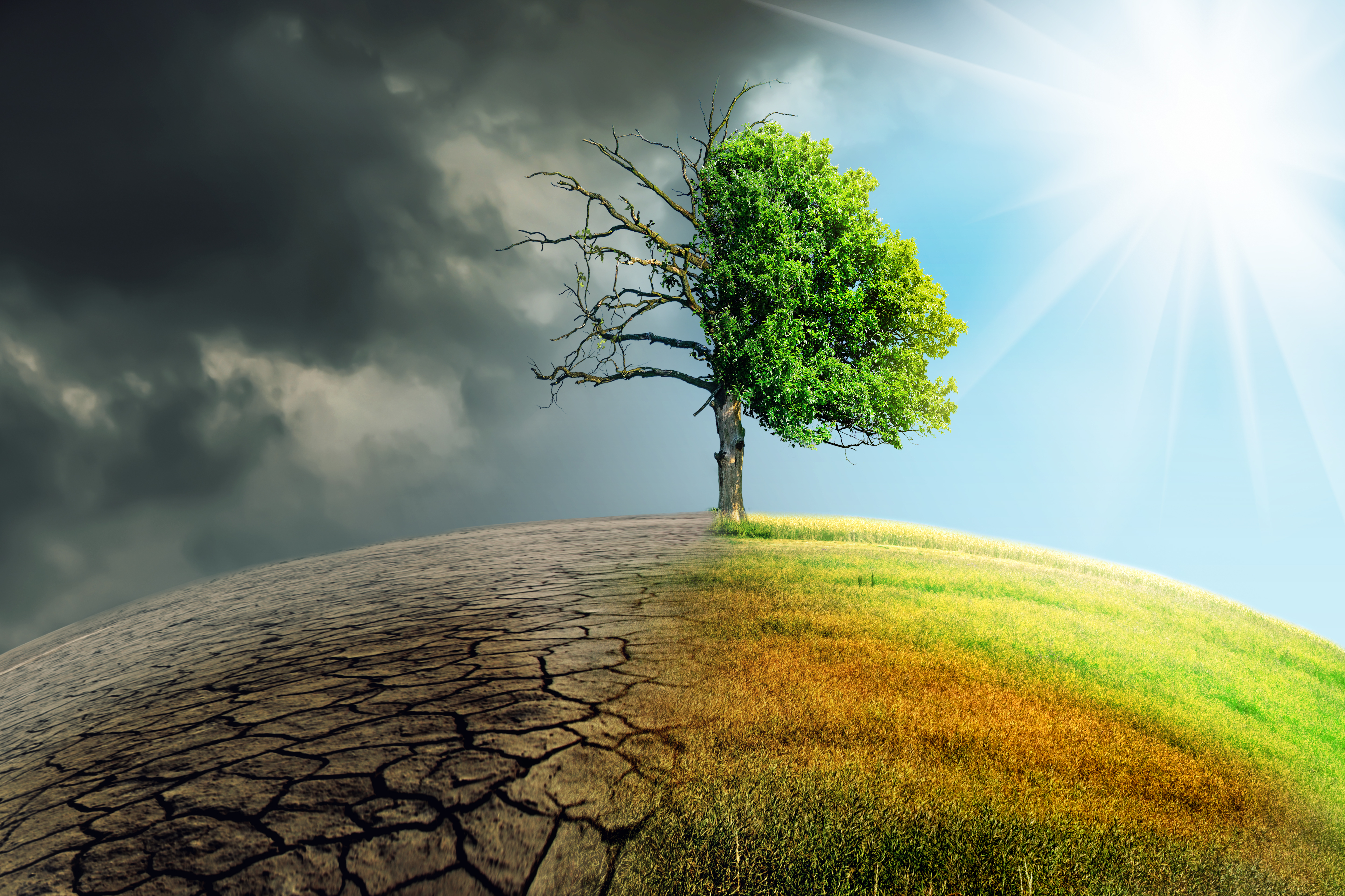 Goal 13: Climate Action
