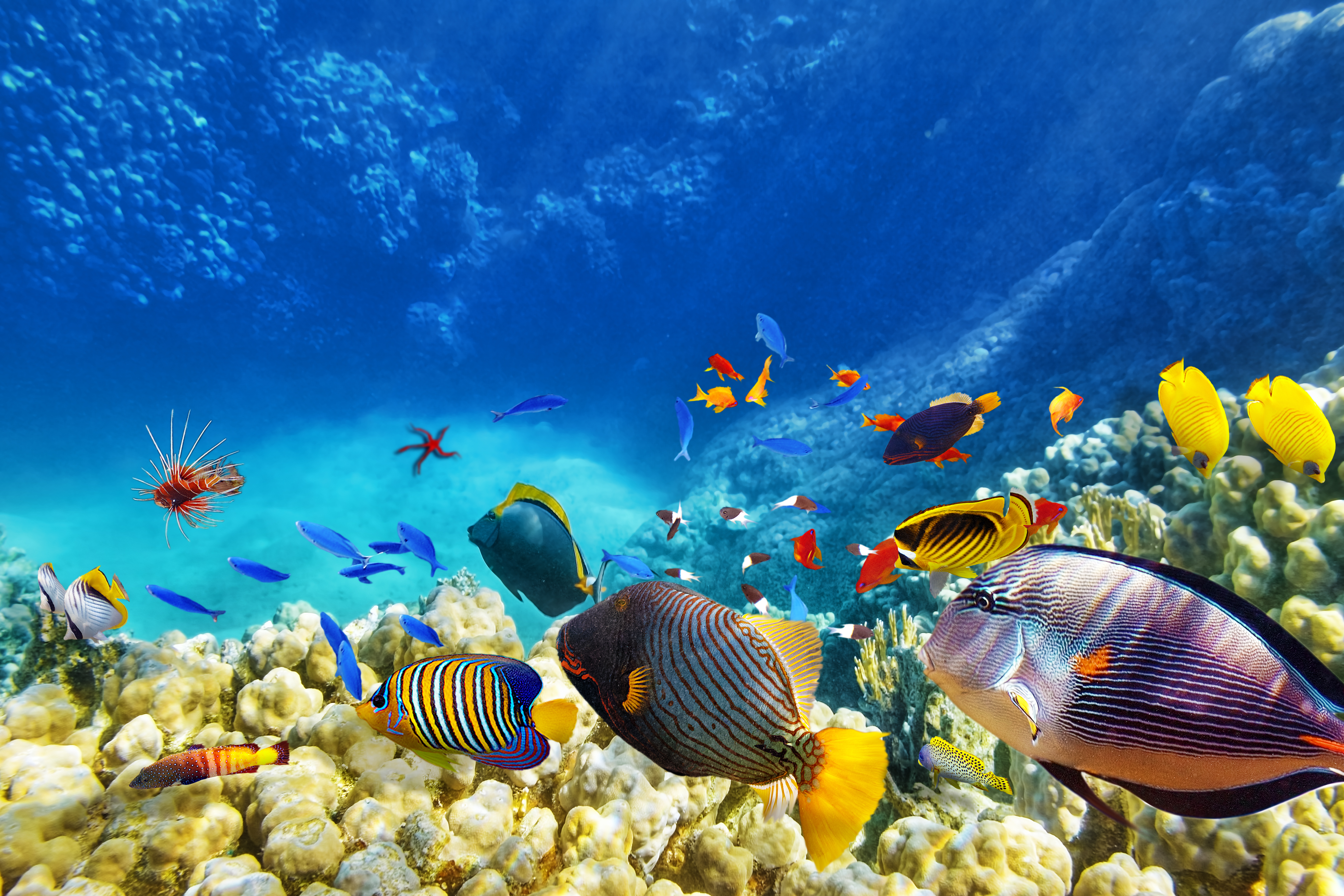 Goal 14: Life Below Water