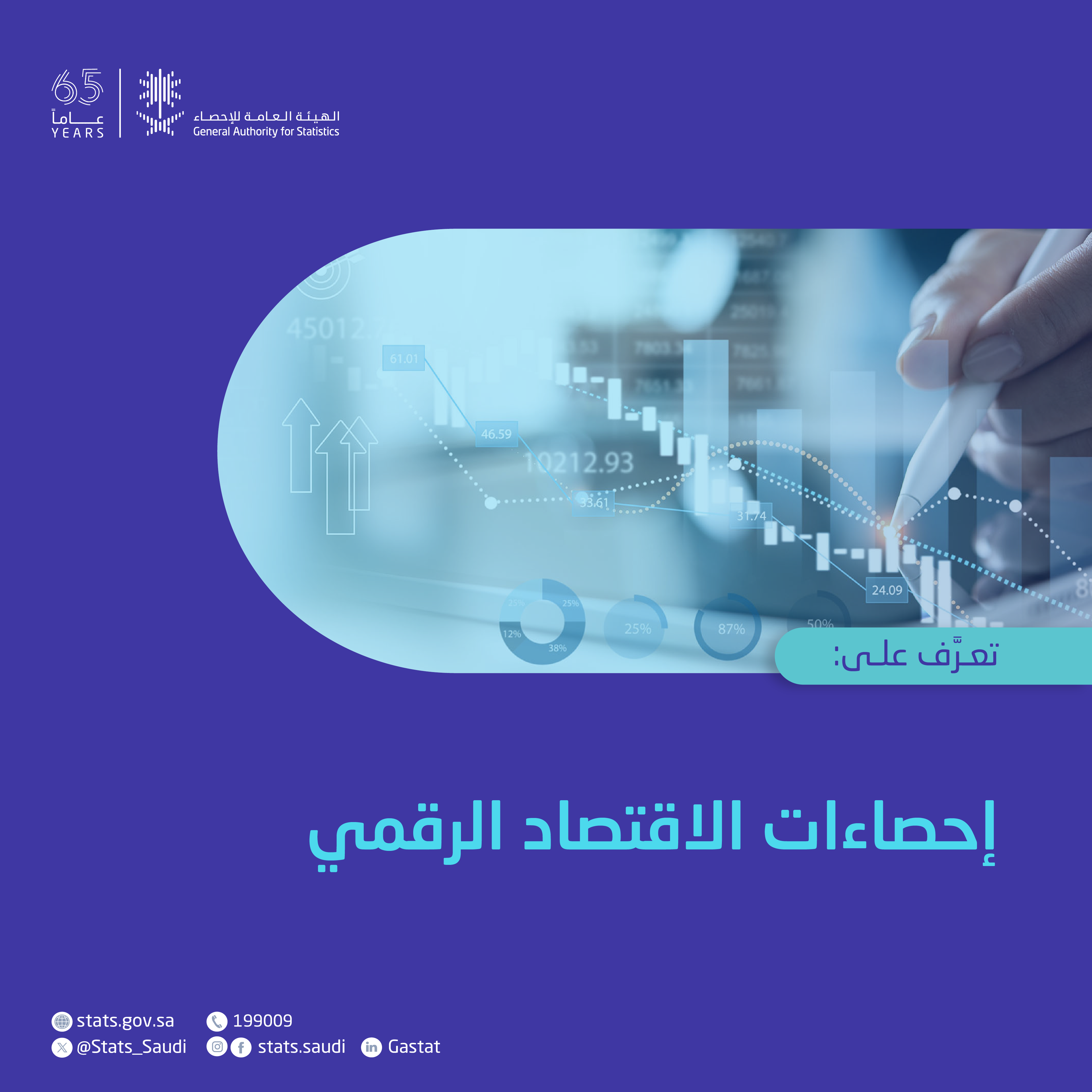 إحصاءات الاقتصاد الرقمي