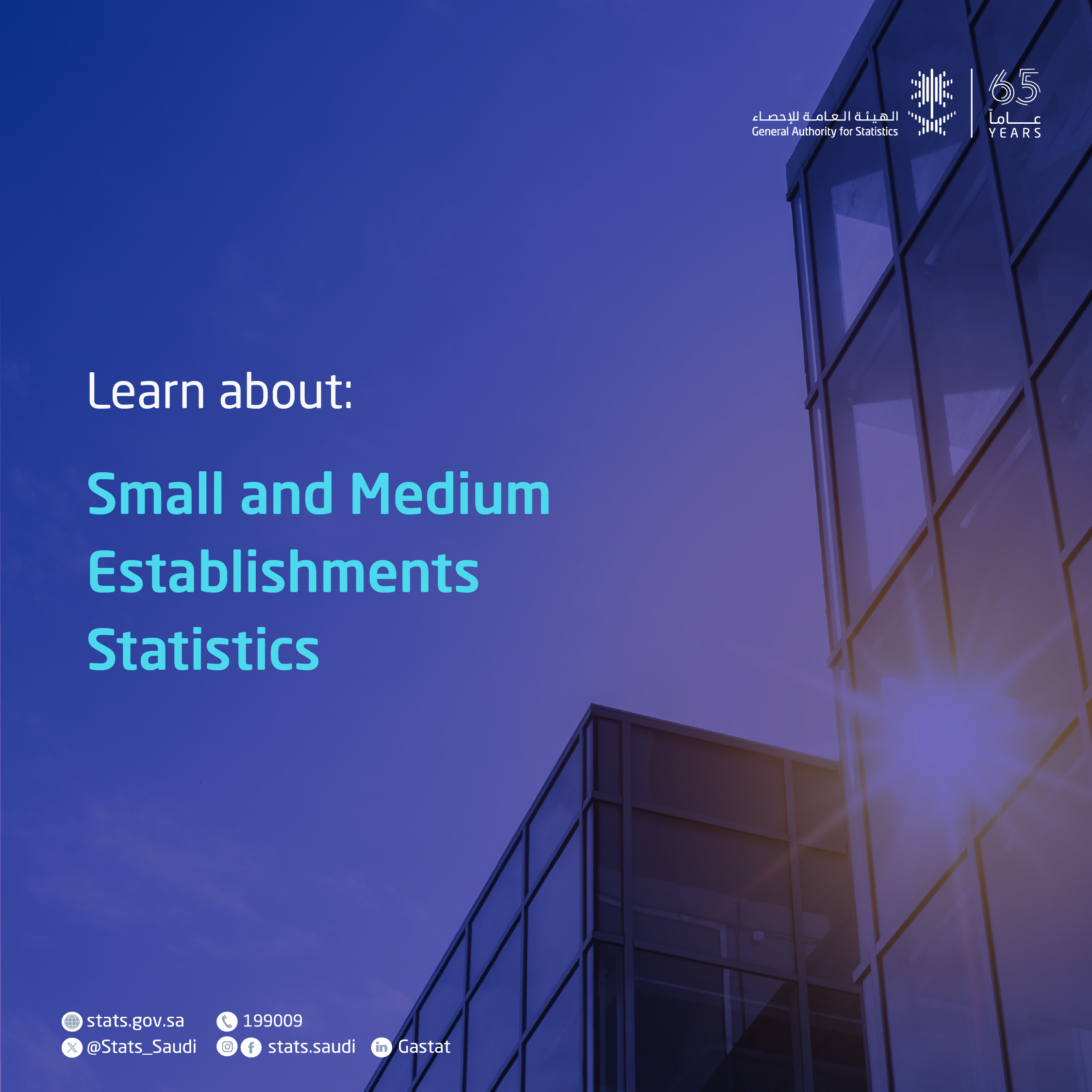 Small and Medium Enterprises Statistics