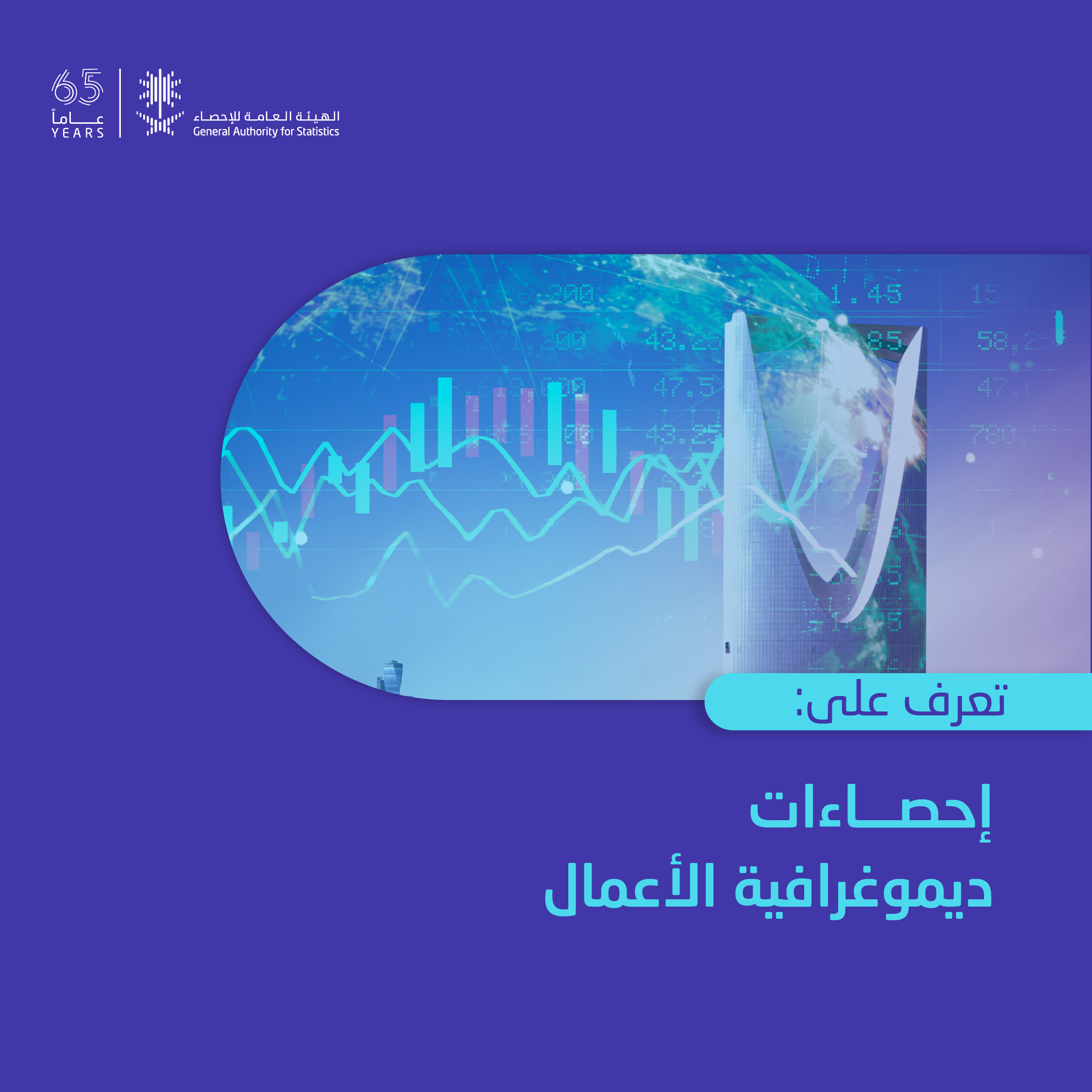 إحصاءات ديموغرافية الأعمال 