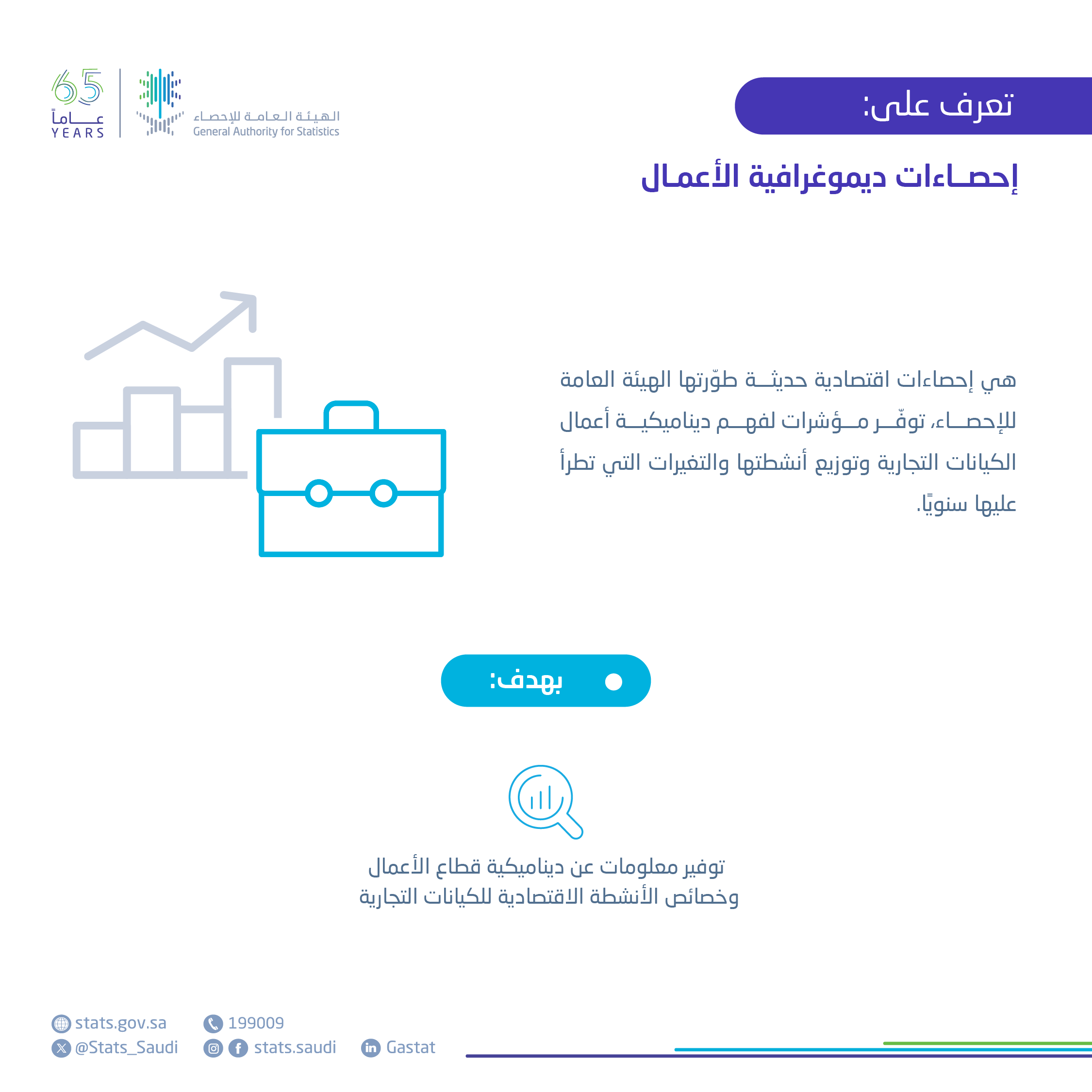 إحصاءات ديموغرافية الأعمال 