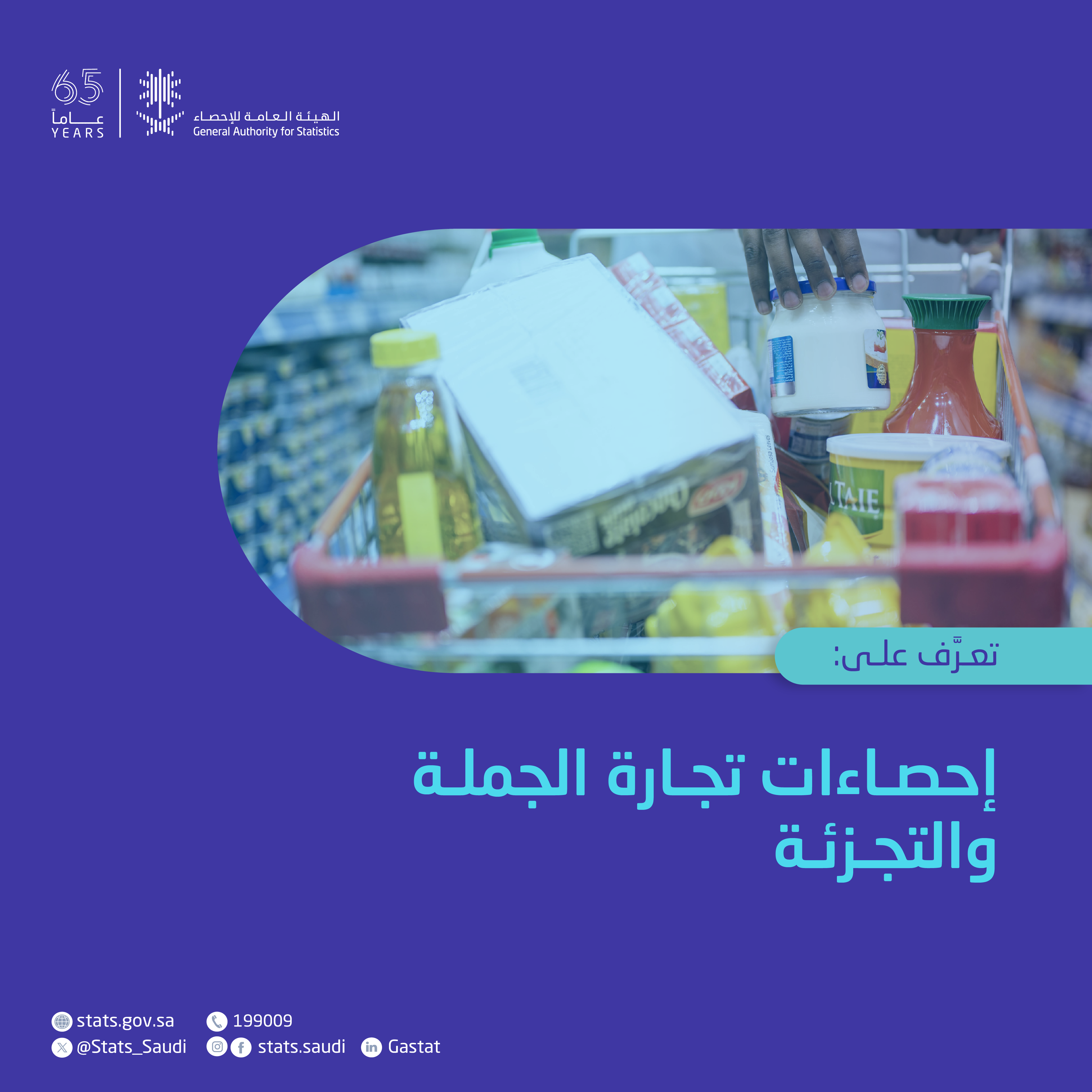 إحصاءات تجارة الجملة والتجزئة