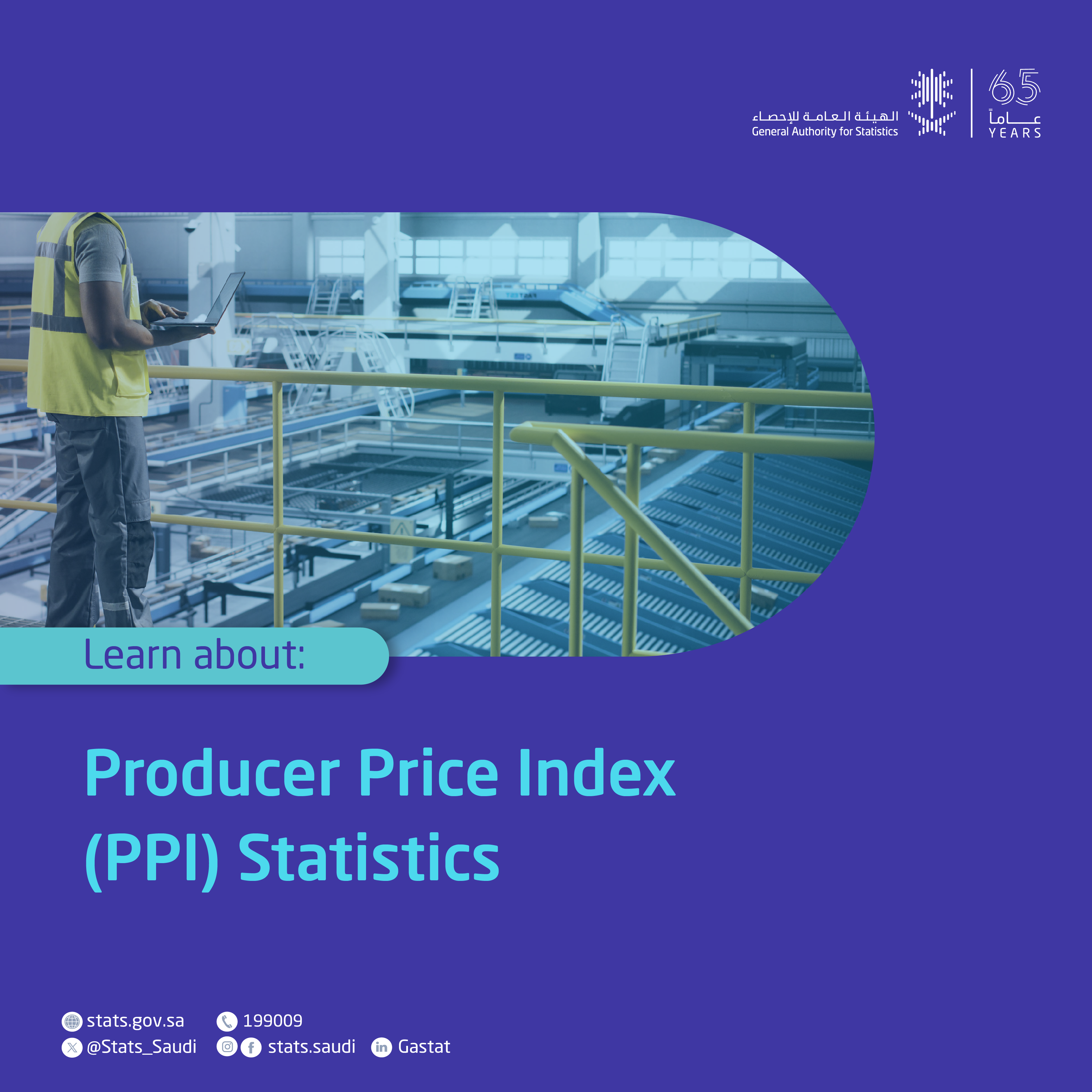 Producer Price  Index Statistics