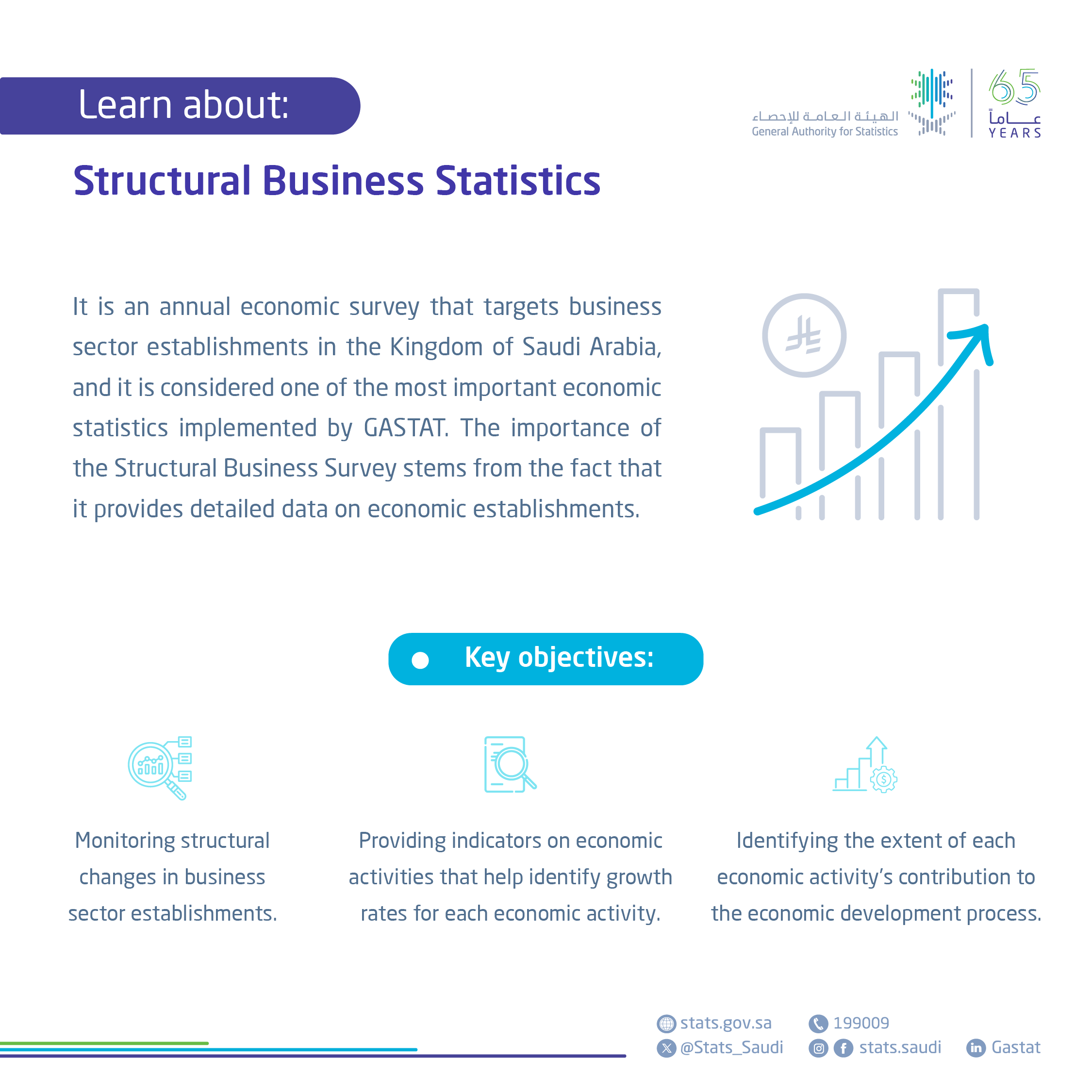 Structural Business Statistics