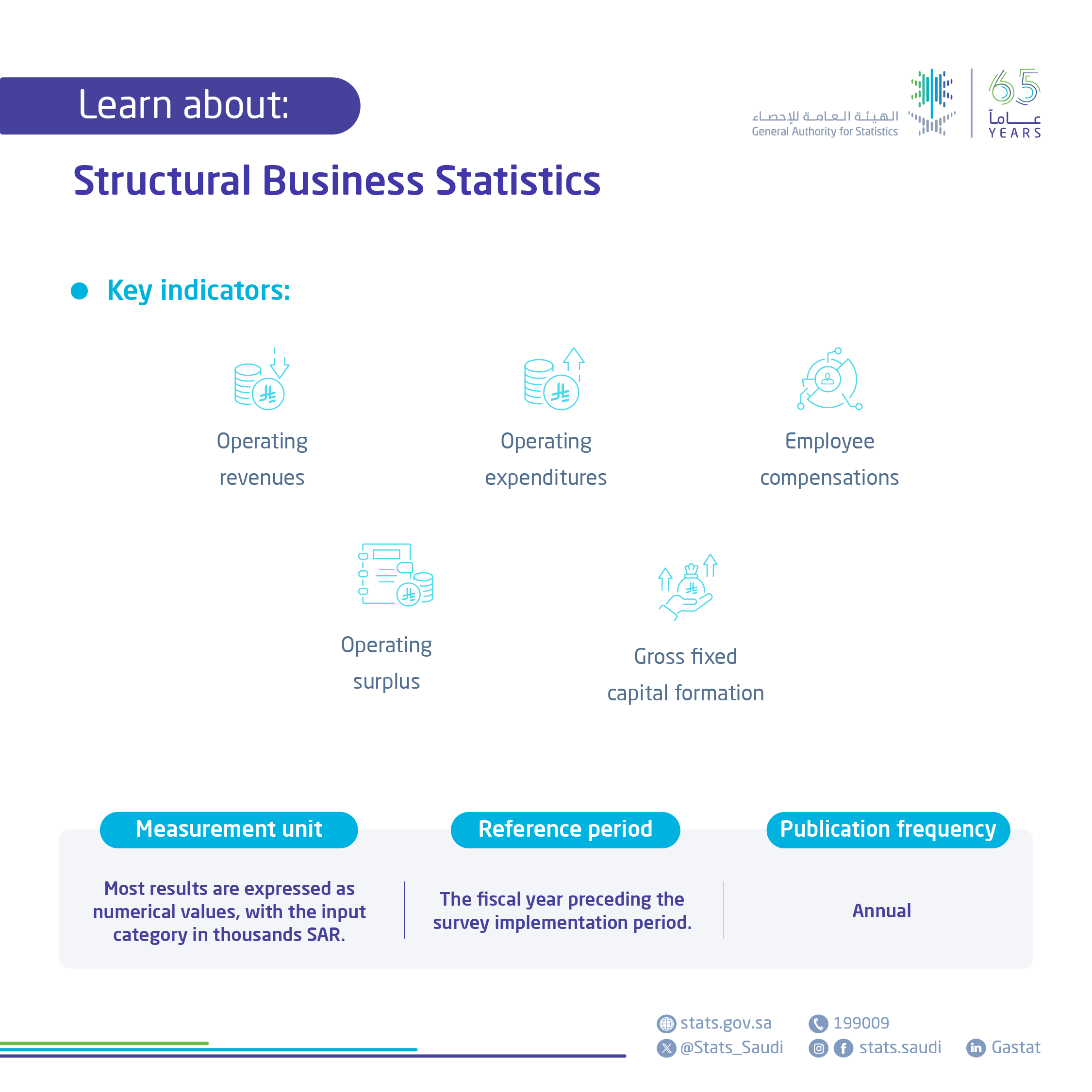 Structural Business Statistics